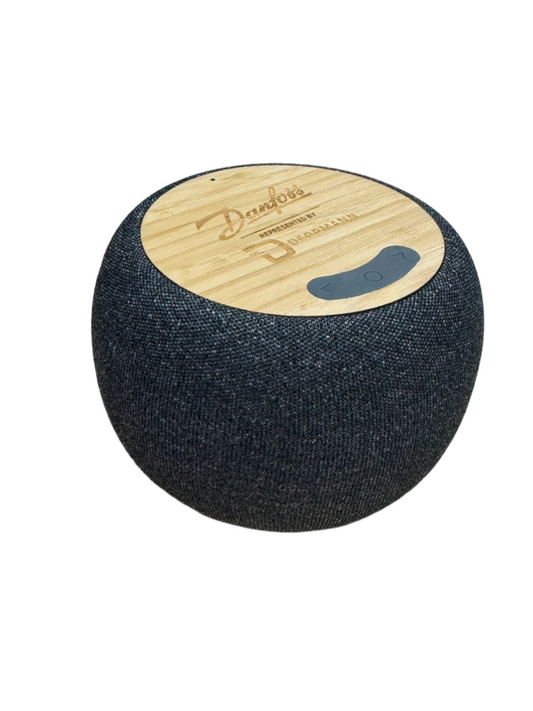 Speaker with Wireless Phone Charging Pad — Danfoss and RLD Branded